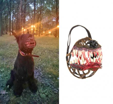 This Dog Halloween Costume Turns Your Pooch Into a Werewolf