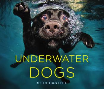 Underwater Dogs Book Underwater Dogs Book