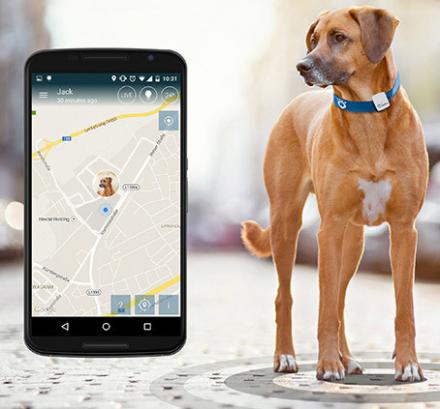 Tractive GPS Dog Tracker Lets You Track Your Dog Via Your Smart Phone
