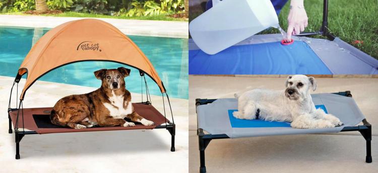 Outdoor Dog Lounger With Sun Canopy or Cooling Pad