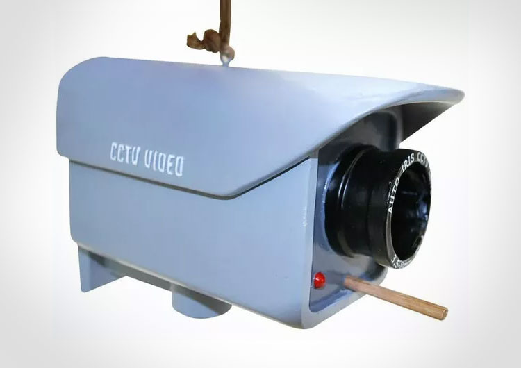 CCTV Security Camera Birdhouse