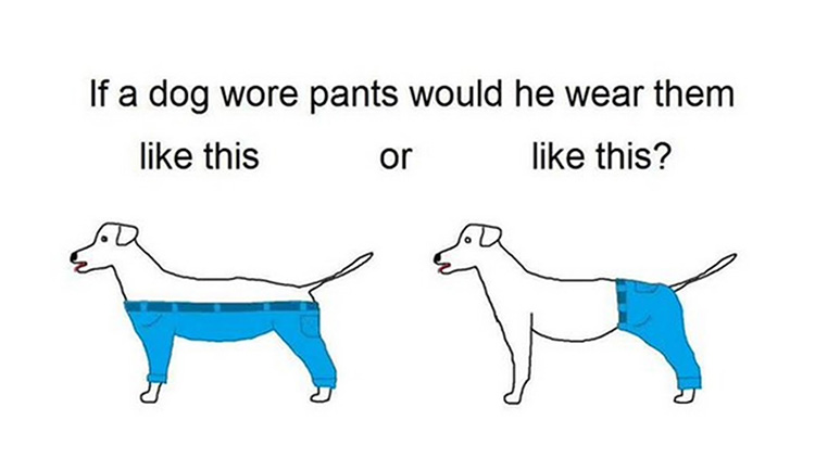 Dog pants meme