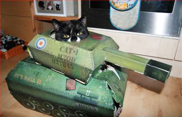 Cat Tank Playhouse