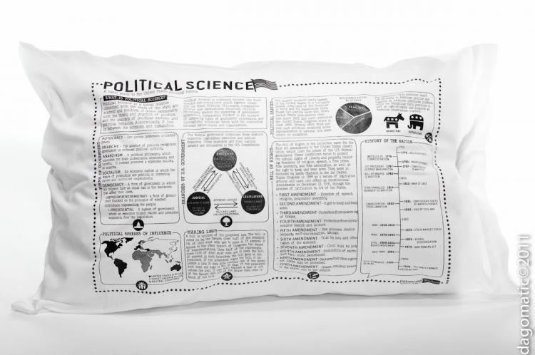 Study Guide Pillow Cases - Political Science