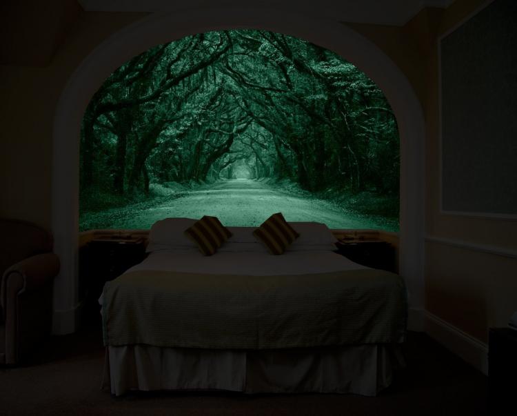 Glow In The Dark Wall Mural That Makes It Look Like You Have a Window