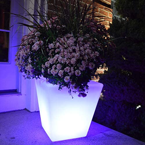 Glow In the Dark Planter - LED illuminated plant pot