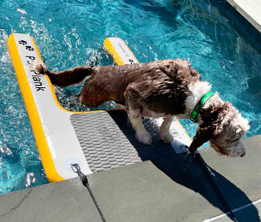 Inflatable Dog Ramp For Dock, Boat, or Pool - Floating Pup Ramp