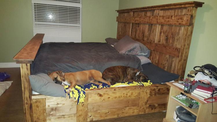 Wooden Bed Frame With Dog Insert