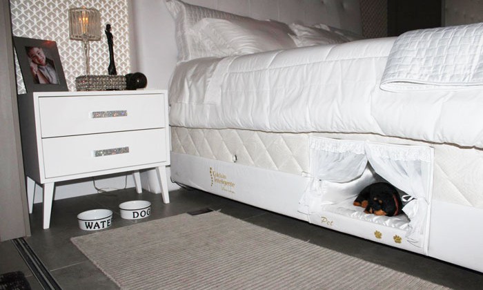 dog bed in bed frame
