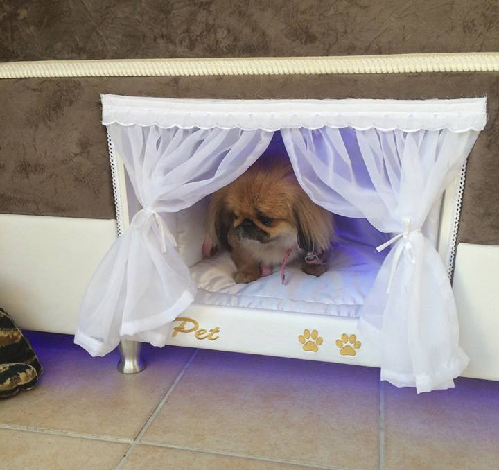 This Mattress Has a Dog Bed Built Into The Side Of It