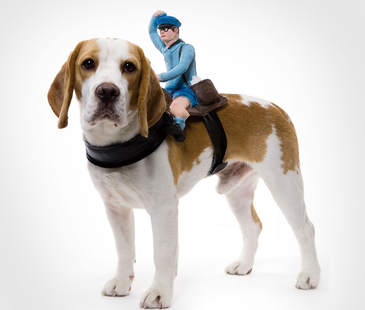 Paperman Dog Rider Costume