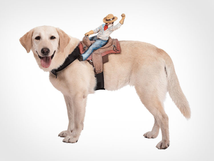 Cowboy Dog Rider Costume