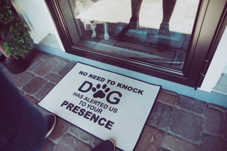 No Need To Knock, The Dogs Have Alerted Us To Your Presence Doormat - Funny Dog Owner Doormat