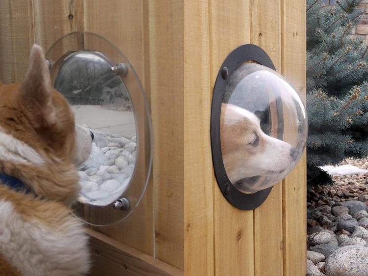 Pet Peek Fence Window For Dogs - bubble window for fences