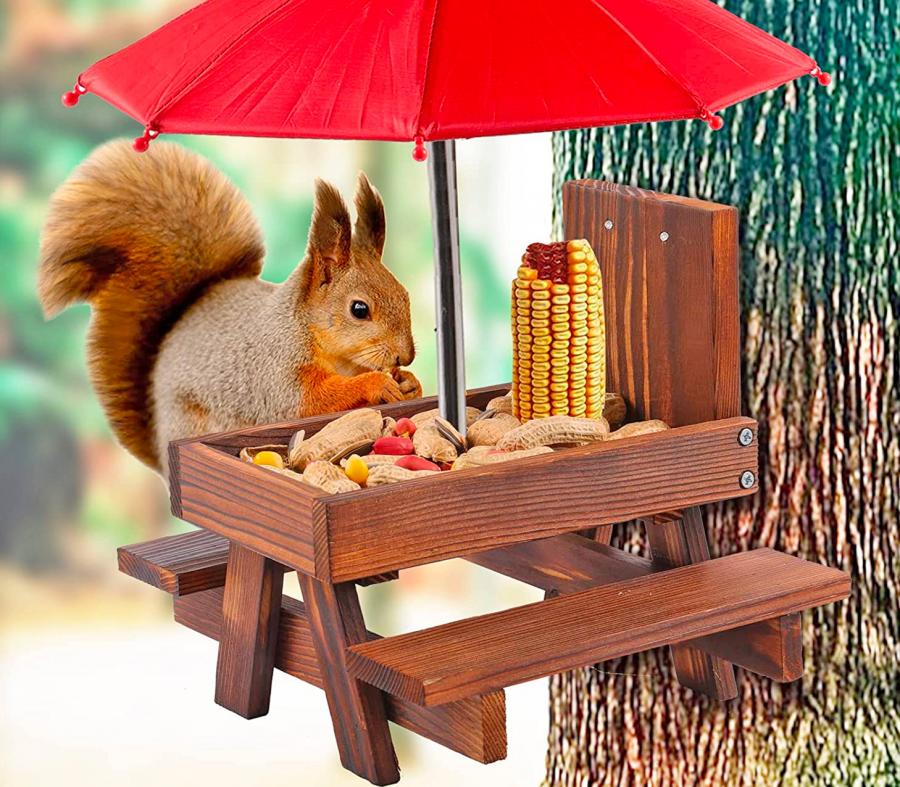Picnic Table Squirrel Feeder With Umbrella