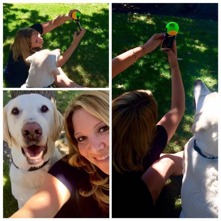 selfie dog ball