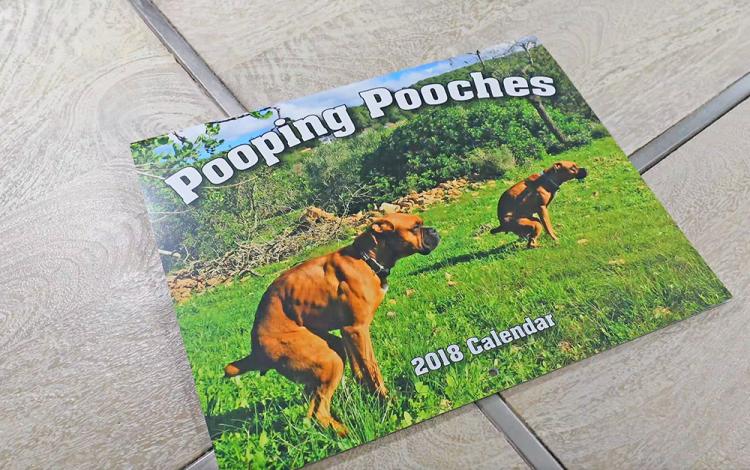 Pooping Pooches Calendar 2018 - Pooping Dogs Calendar