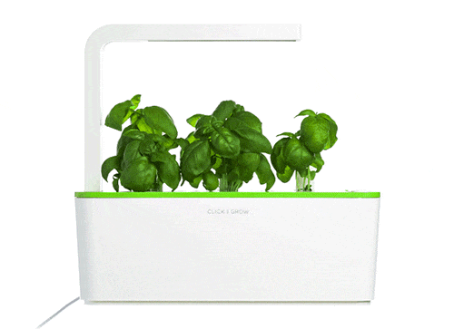 Smart Herb Home Garden Starter Kit - NASA Plant Technology - GIF