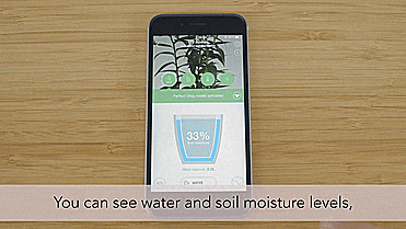 Parrot Smart Watering Pot - Automatic Plant Watering Pot - Smart Phone Plant Pot