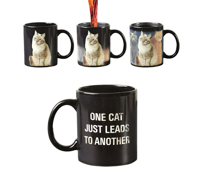 The Cat Lady Starter Pack - Gift ideas for cat lovers