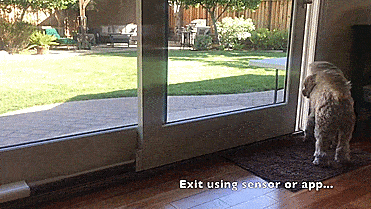 Wayzn Remote Sliding Glass Door Opener - Remotely open door to let dog outside