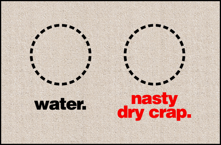 Water and Nasty Dry Crap Dog Food Mat - Funny dog mat