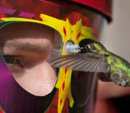 Wearable Hummingbird Feeding Mask