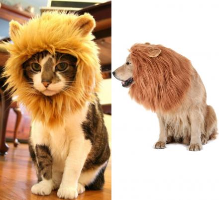 You Can Now Turn Your Dog Or Cat Into a Lion With These Lion Mane Pet Wigs