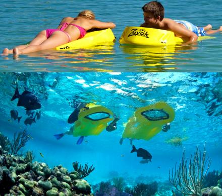 This Board Gives You a Window To The Underwater Environment Without Having To Use a Snorkel