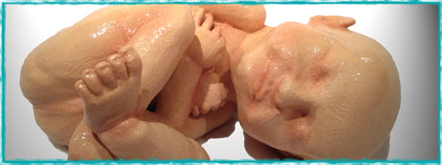 3D Printed Replica Of Your Unborn Fetus