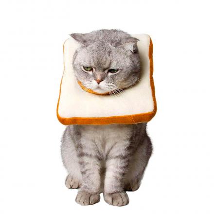 This Adorable Slice Of Bread/Toast Cat Cone Is Perfect For Post Surgery Recovery