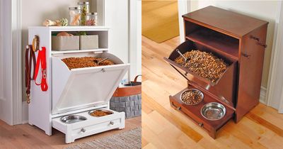 This Ultimate Dog Feeding Station Holds Everything You
