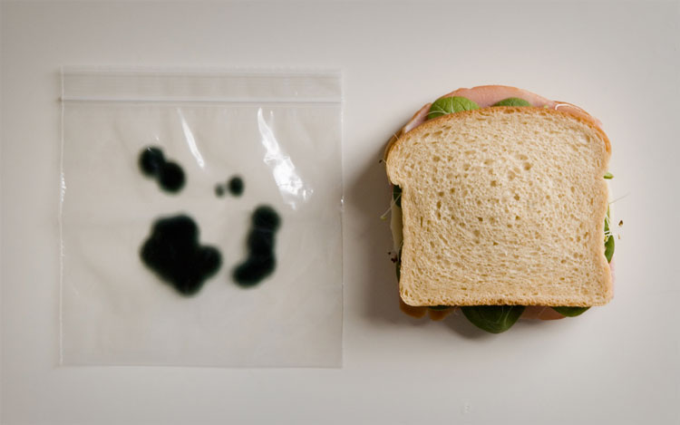 Anti-Theft Lunch Bags - Fake prank Moldy ziploc sandwich bags