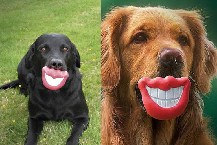 This Mouth Shaped Dog Toy Gives Your Pooch Big Lips and a Big Funny Smile -