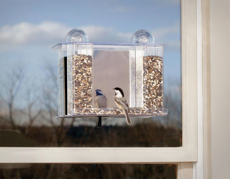 Bird Feeder With One Way Mirror