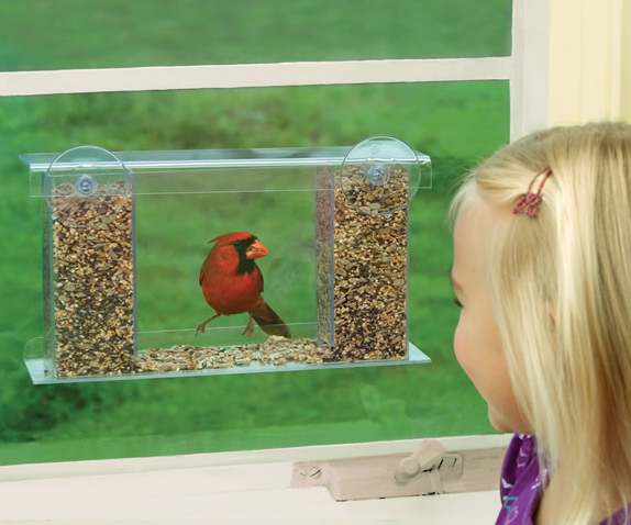 Bird Feeder With One Way Mirror