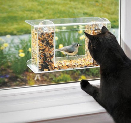 This Window Bird Feeder Has One Way Mirror That Lets You Easily Watch Birds Feed