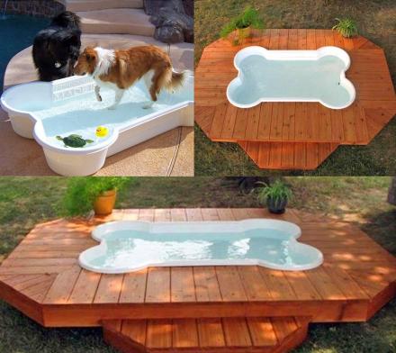 Bone Shaped Dog Pool