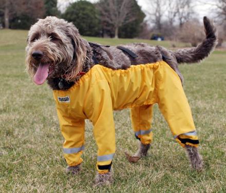 Bottom Half Dog Pants Keeps Your Dog From Getting Dirty