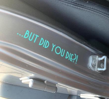 'But Did You Die?' Car Decal