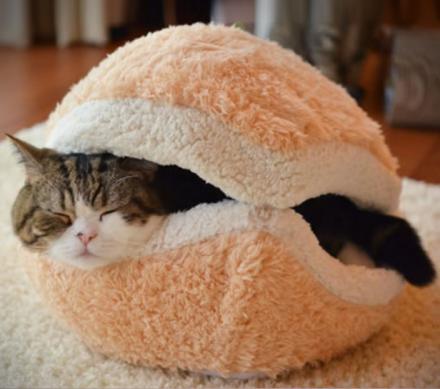 Cat Hamburger Bed