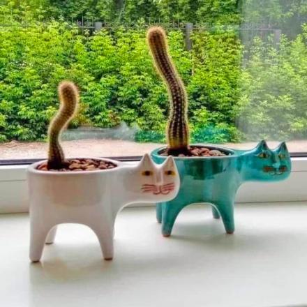 These Adorable Cat Planters Create Cats With Cactus Tails