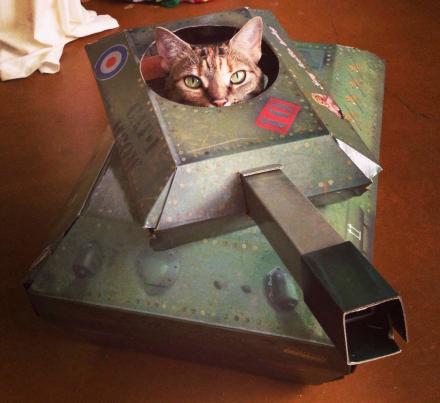 Cat Tank Playhouse