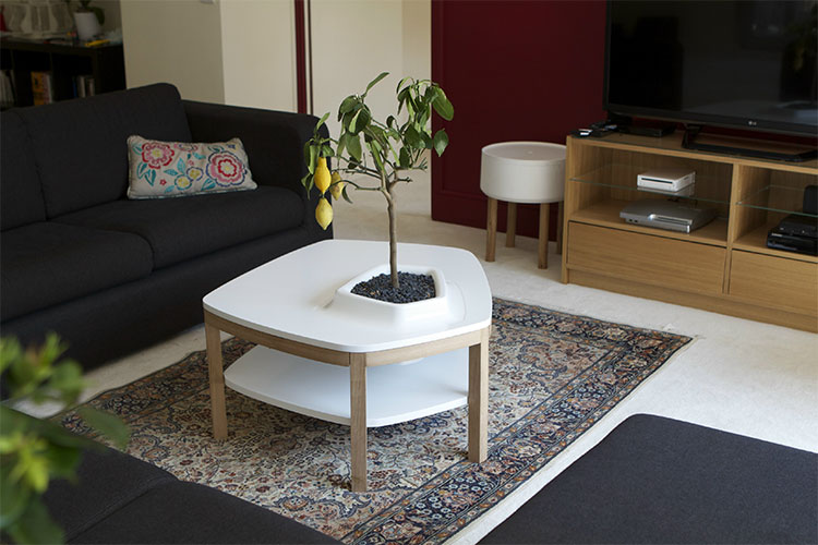 Volcane Feet Coffee Table With Planter