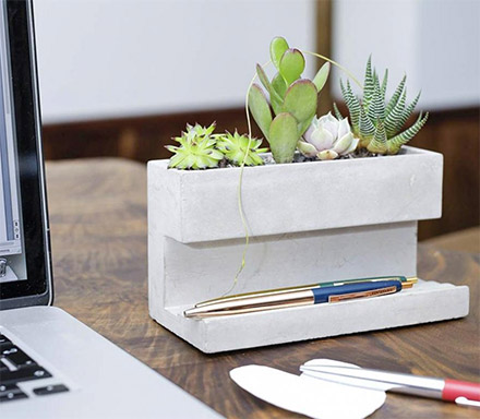 Concrete Desk Planter and Pen Holder