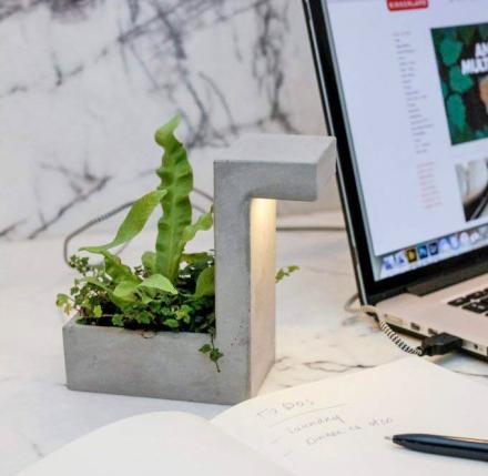 Concrete Desk Planter Doubles as a USB Lamp