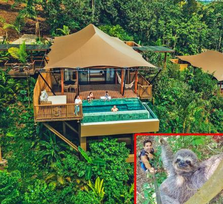 There's a Luxury Costa Rican Resort That Lets You Stay In The Rainforest and Hang Out With Sloths