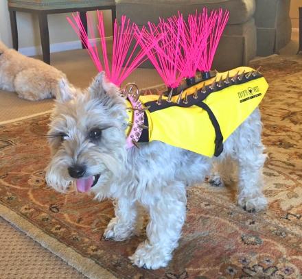 dog harness vest with spikes