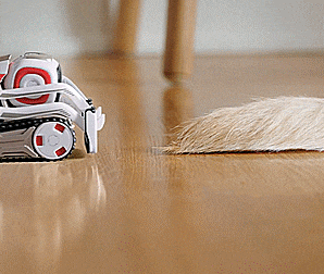 Cozmo: A Mini Robot With a Personality That Evolves The More You Play With Him