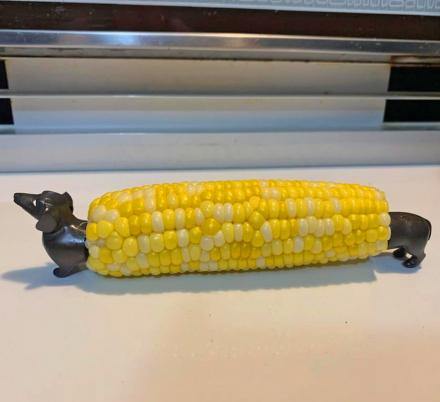 You Can Tell Your Kids These Dachshund Dog Corn Cob Holders Create Corn Dogs